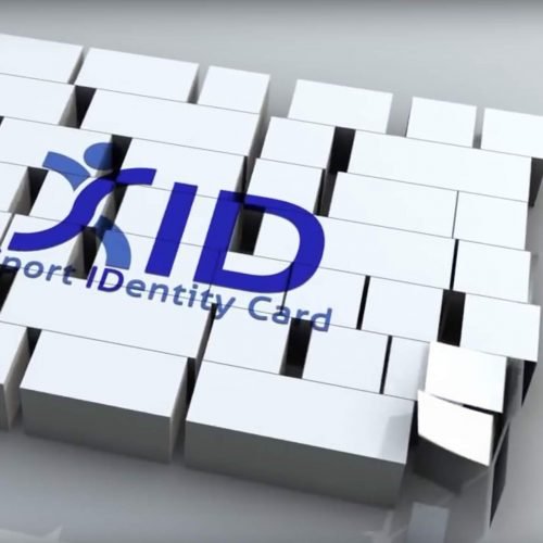 Video Progetto SID