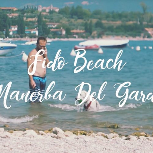 Video Fido Beach