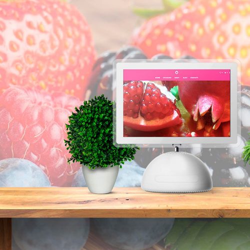 Ecommerce Vendita Piccoli Frutti