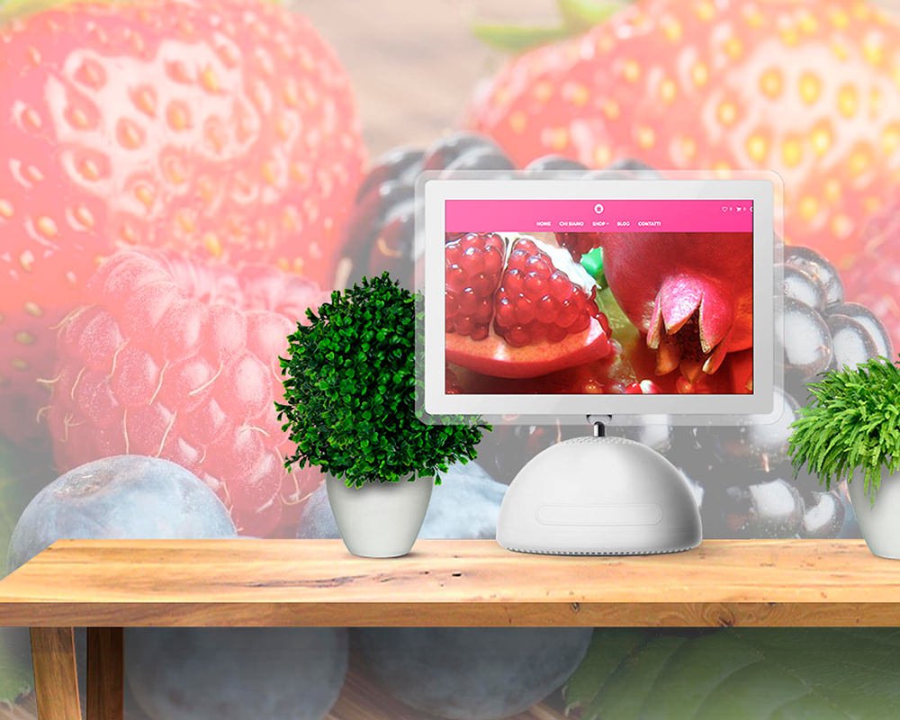 Ecommerce Vendita Piccoli Frutti