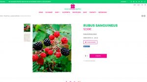 Ecommerce Vendita Piccoli Frutti