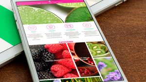 Ecommerce Vendita Piccoli Frutti