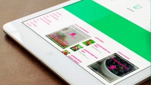 Ecommerce Vendita Piccoli Frutti