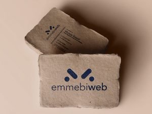 Logo Design Emmebiweb